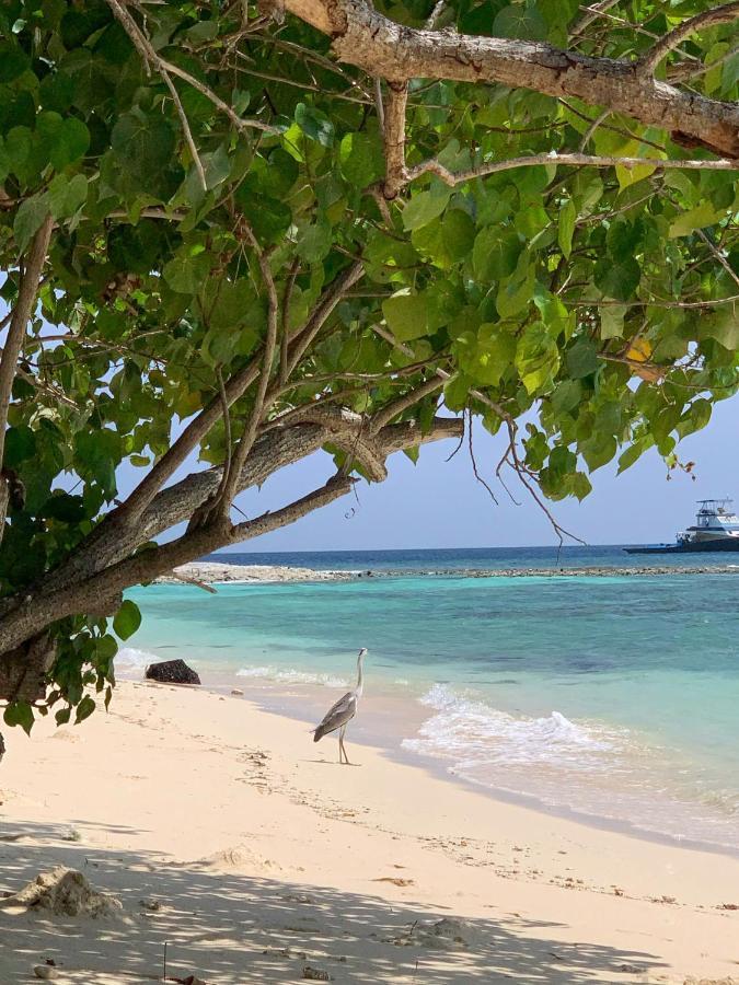 Dhamana Beach Hotell Mahibadhoo Exteriör bild